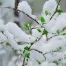Снег на сайте [snow]